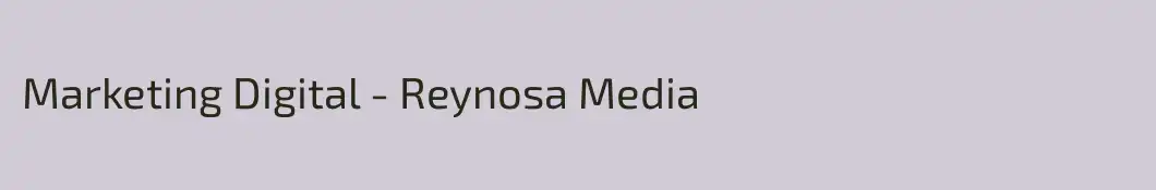 Marketing Digital - Reynosa Media 
